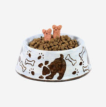 Load image into Gallery viewer, Norwegian Forest Cat